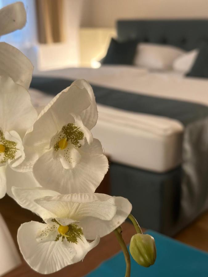 Home Sweet Apartments - A Cozy Welcome 维也纳 外观 照片