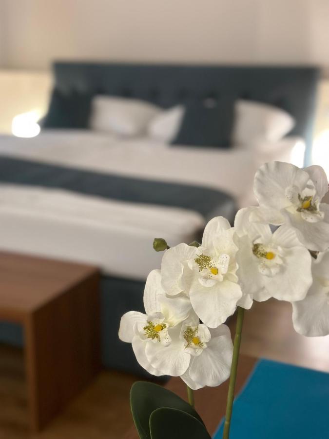 Home Sweet Apartments - A Cozy Welcome 维也纳 外观 照片